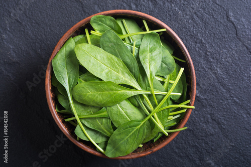 fresh green baby spinach