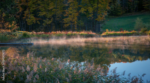 Early Morning