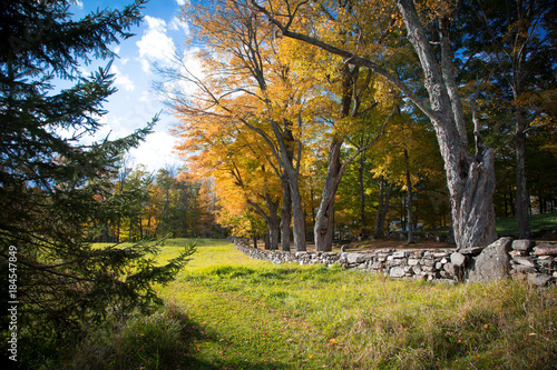 Stone Wall