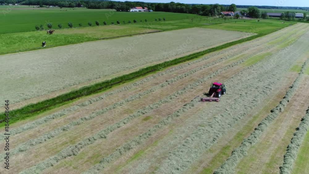 Aerial bird view panning around red tractor raking dried grass and lining the hay up for pickup it will be plastic wrapped or picked up by tractor grass wagon and used as cattle fodder in winter 4k Aerial bird view panning around red tractor raking dried grass and lining the hay up for pickup it will be plastic wrapped or picked up by tractor grass wagon and used as cattle fodder in winter 4k