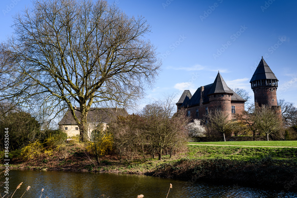 Castle & Tree Castle & Tree