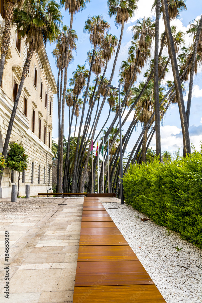 Palm trees in Malaga