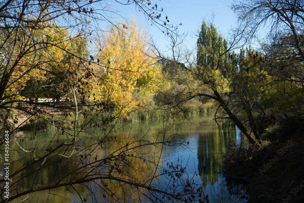 Paisaje de otoño Paisaje de otoño