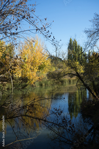 Paisaje de otoño