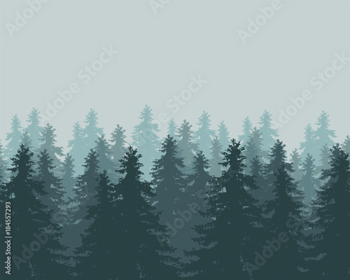 Vector illustration of winter forest with fog and mist