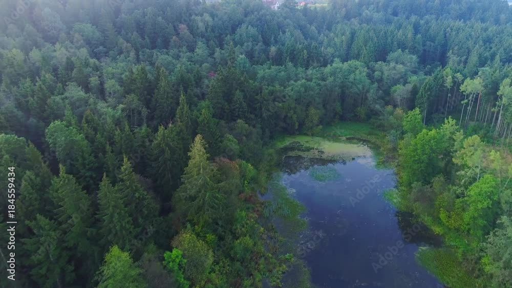 flying above foggy lake early in the morning
