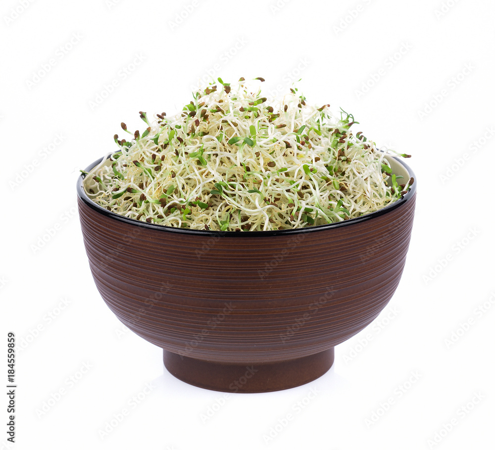 heap of alfalfa sprouts on white background heap of alfalfa sprouts on white background