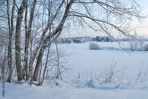 Winter morning in Finland © TanyaSv