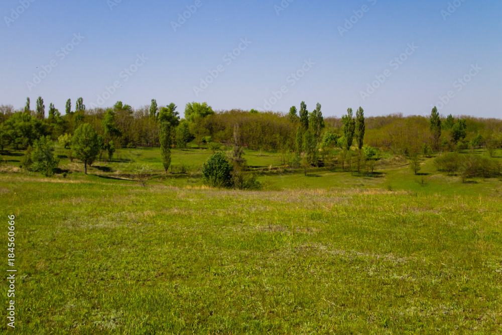 Spring landscape with green meadow and trees Spring landscape with green meadow and trees