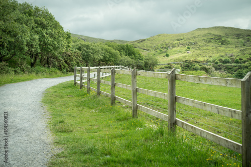 wooden fence on a beautiful green irish land