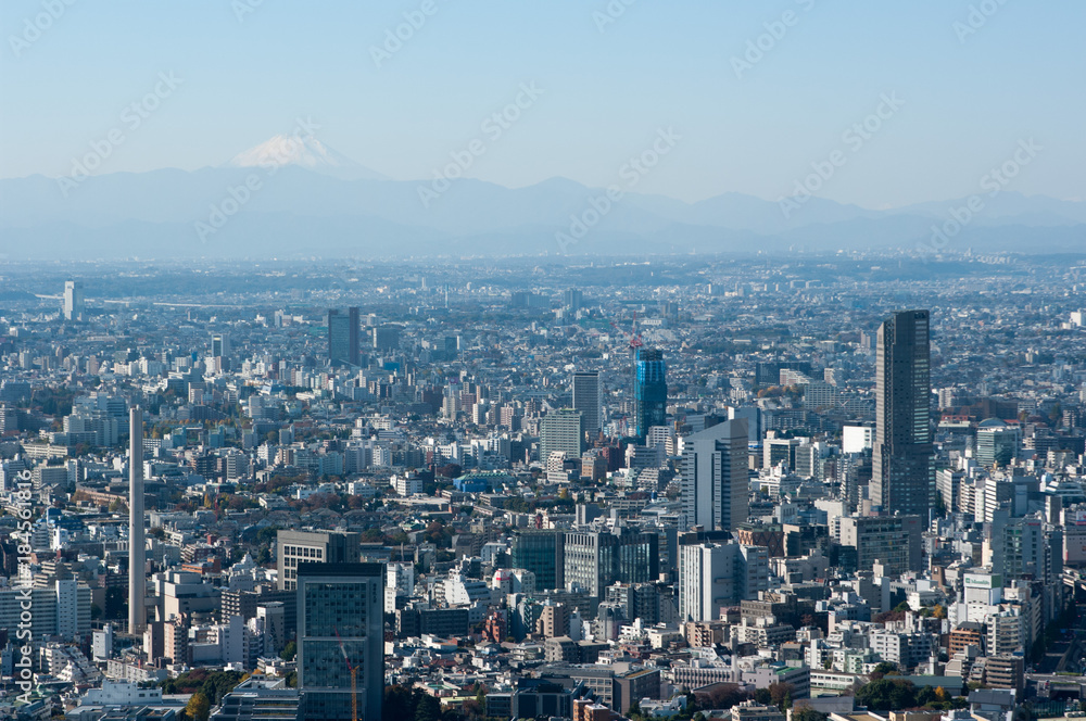 東京からの富士山