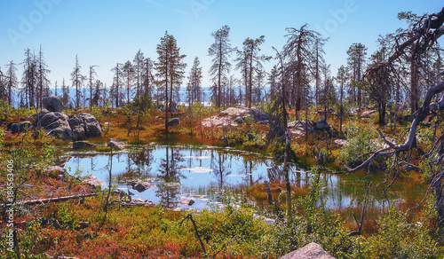 Small Swamp On Top Of Mount