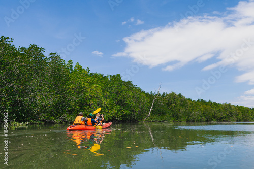 Tourists are paddling kayak in rivers and mangrove forests.
