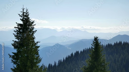 Panorama of mountain ridges with forest silhouette in the foreground. Macedonian Pine (Pinus peuce) grow on slopes at Snezhanka peak, Pamporovo winter ski resort, Rhodope mountain range in Bulgaria. 4 photo