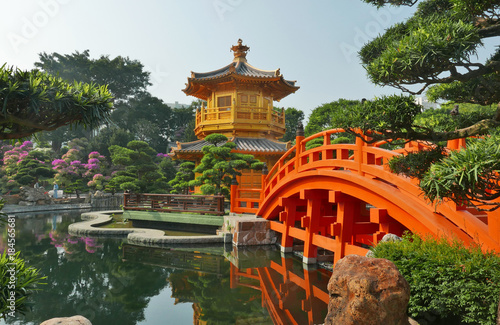Traditional chinese garden