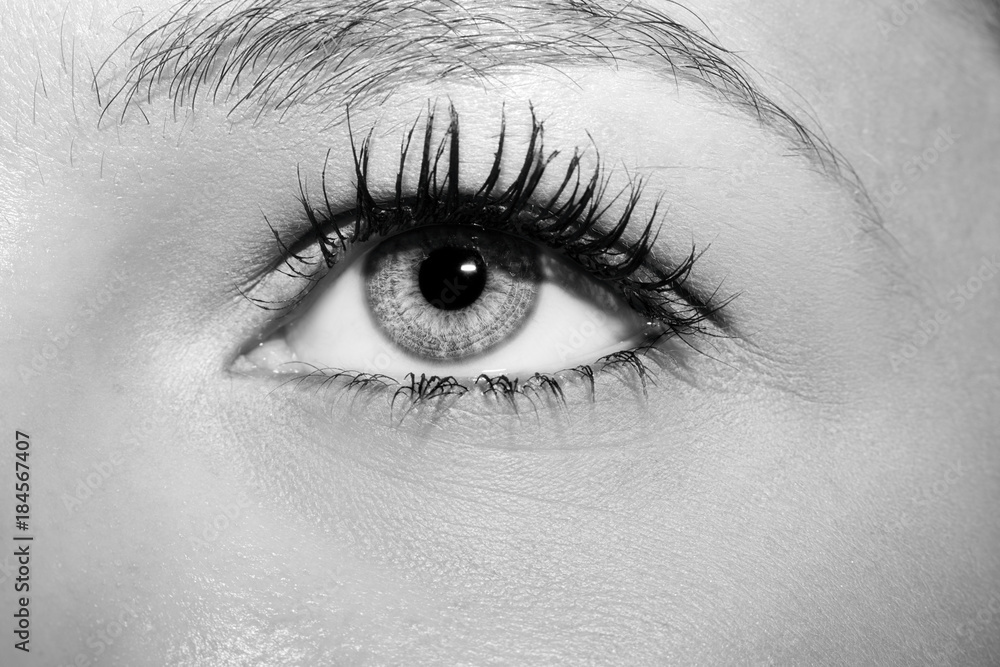 A beautiful insightful look woman's eye. A beautiful insightful look woman's eye.