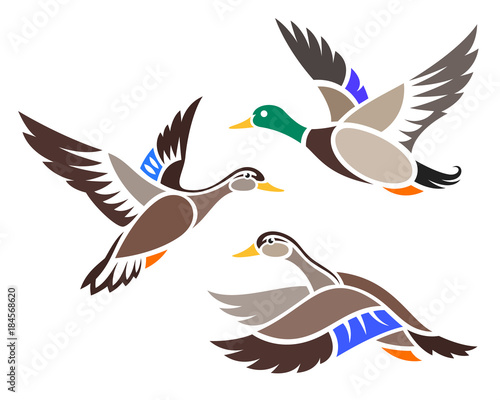 Stylized Birds - Ducks