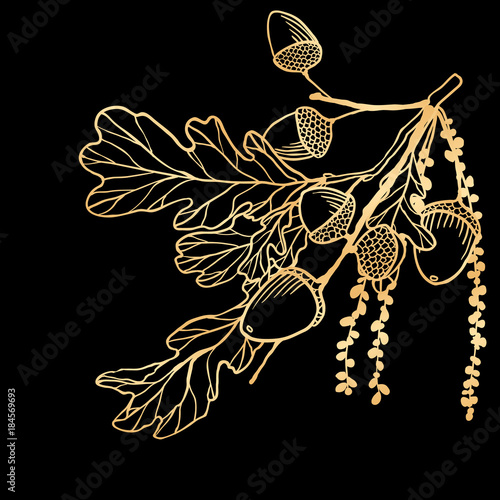 Hand drawn golden oak leaves ,acorns and oak flower for decoration