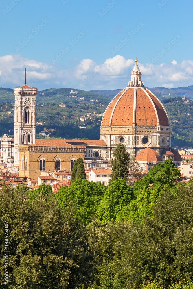 View of Cattedrale di Santa Maria del Fiore in Florence