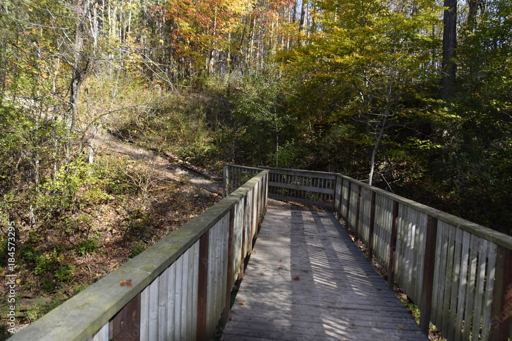 Fototapeta premium wooden footbridge, Fanshawe Recreation area, London, Ontario, Canada,