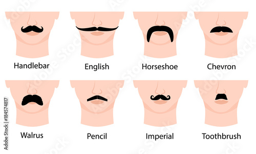 
Set of mustaches on mans face. Isolated on white background. Vector illustration. Moustache types with names: Handlebar, English, Horseshoe, Chevron, Walrus, Pencil, Imperial, Toothbrush.