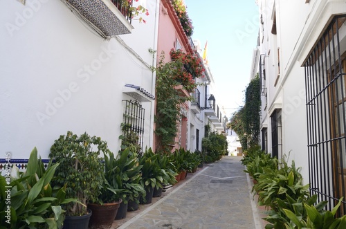 Fototapeta Naklejka Na Ścianę i Meble -  Plants pot in alley in  Marbella, Andalusia, Spain
