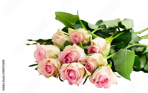 Fresh pink rose flowers bouquet