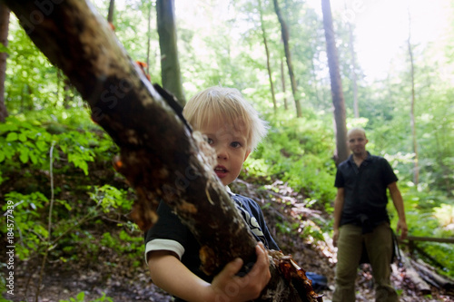 Boy carrying a limb in a forest