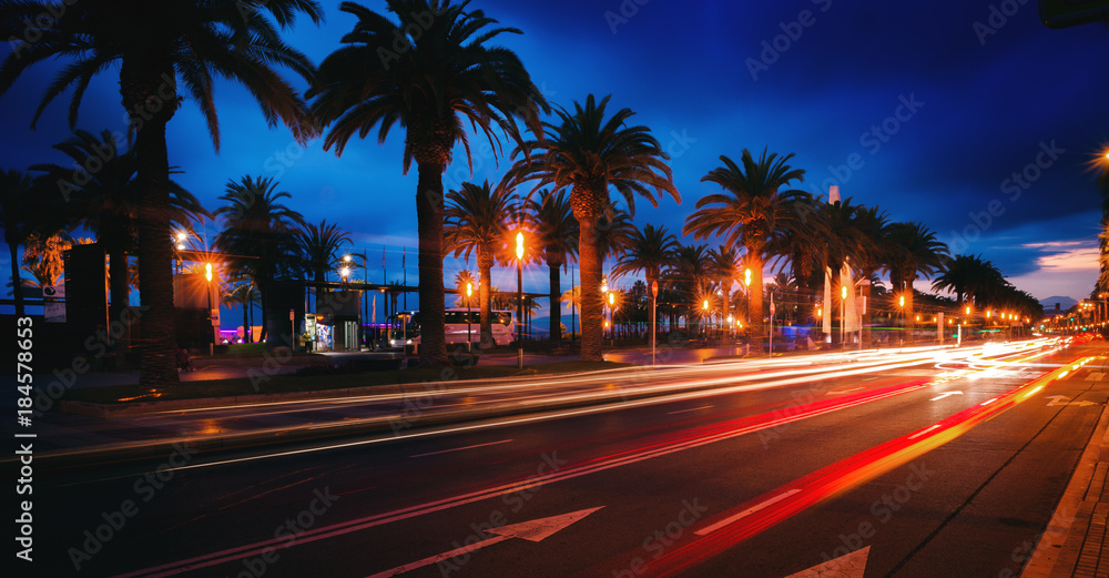 Naklejka premium The palm road in Spain