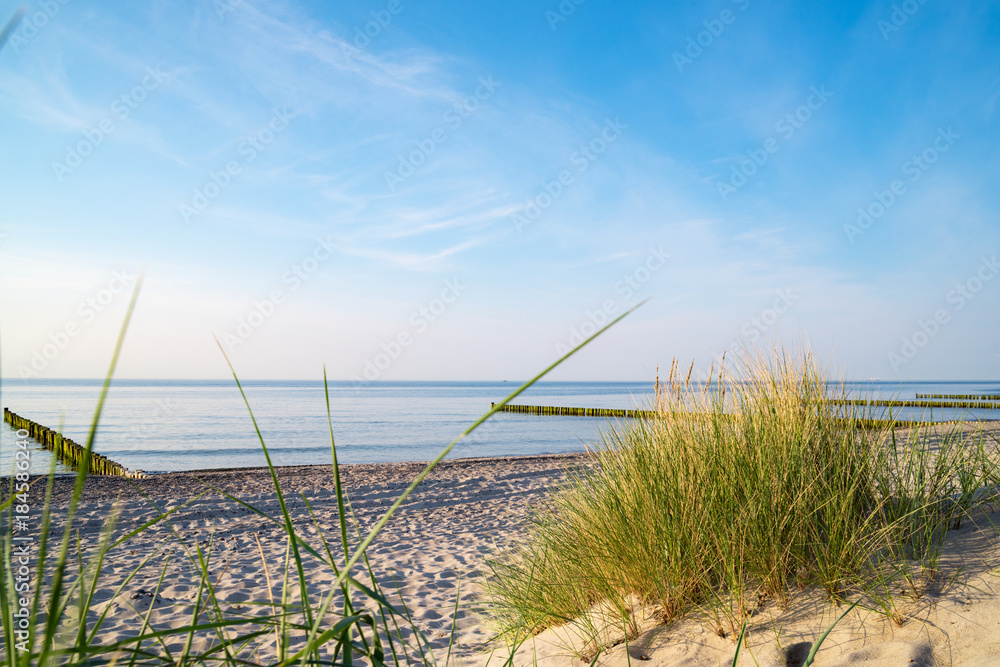 Blick auf den Ostseestrand von einer Düne aus