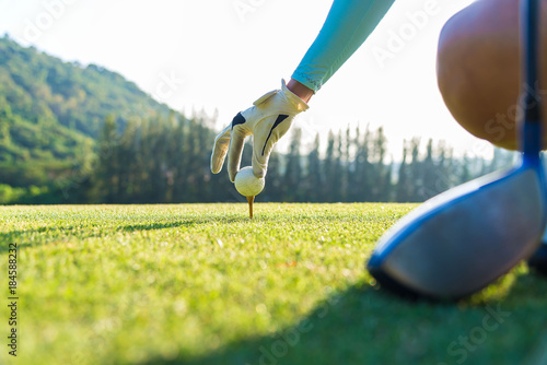 hand of woman golf player gentle put a golf ball onto wooden tee on the tee off, to make ready hit away from tee off to the fairway ahead.