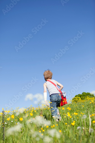 Boy walking through field of flowers