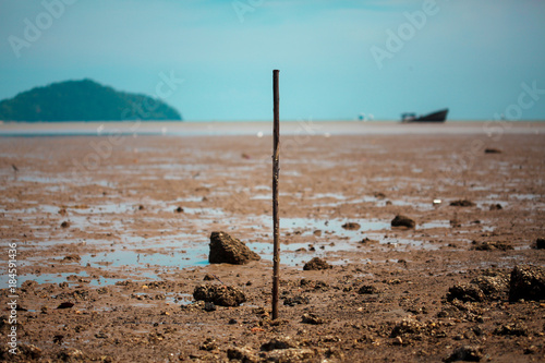 Wallpaper Mural Mud flats on low tide with boat wreckage and mountain background Torontodigital.ca