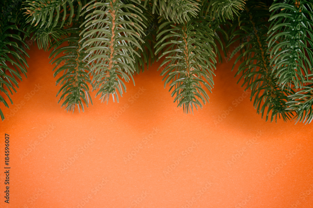 Christmas tree branches or red cardboard background.