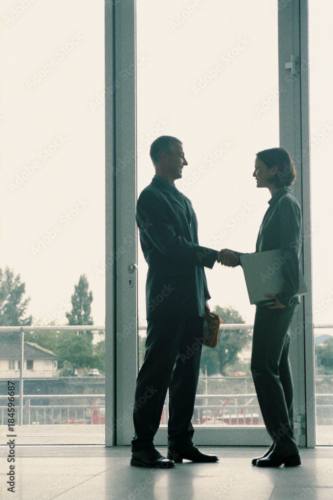Fototapeta premium Businesspeople shaking hands