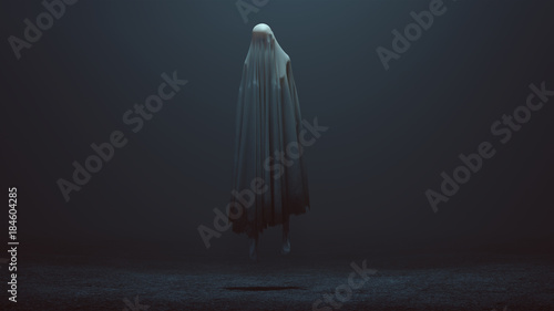 Obraz na plátně Floating Evil Ghost Spirit in a Foggy Void Horror Creepy Halloween 3d illustrati