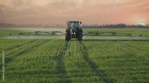 Green tractor sprays the wheat field with chemicals on dramatic cloud sunset background.