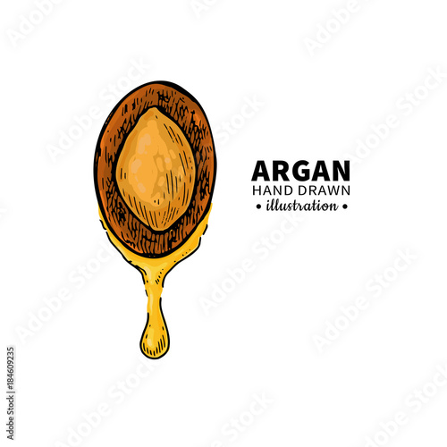 Argan vector drawing.  Organic essential oil sketch.
