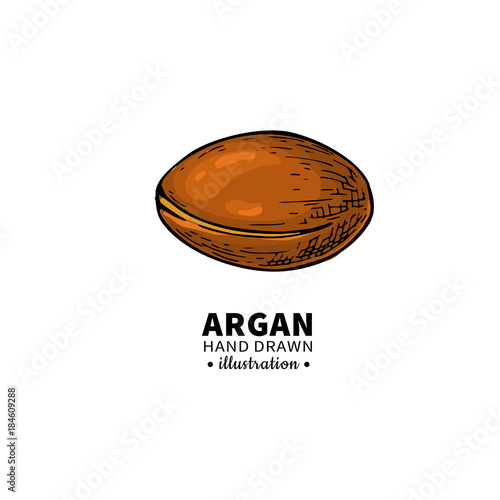 Argan vector drawing.  Organic essential oil sketch.