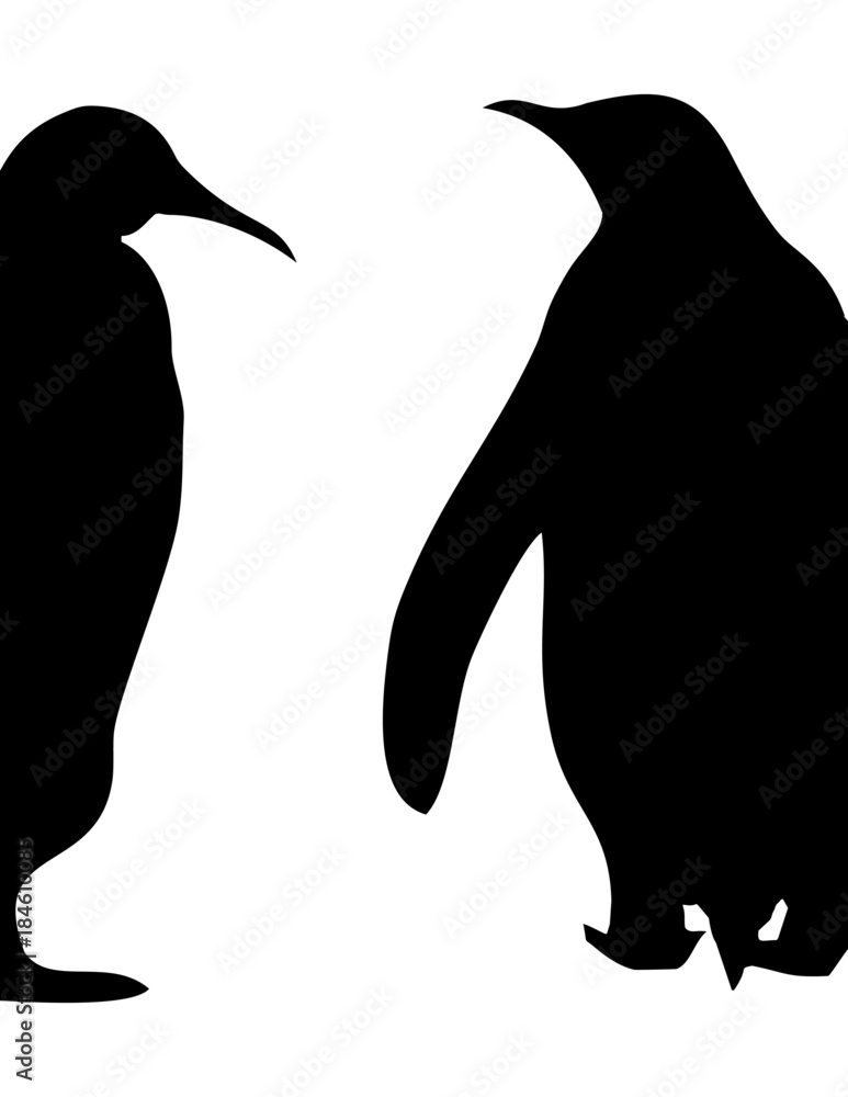 Fototapeta premium sylwetka dwóch pingwinów
