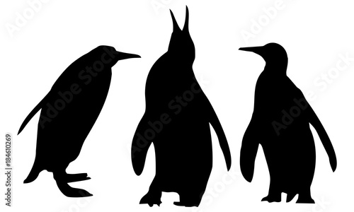 silhouette of three penguins