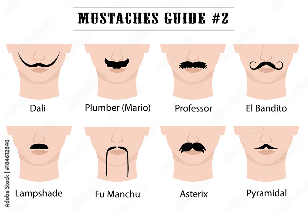 Vecteur Stock Set of mustaches on mans face. Isolated on white