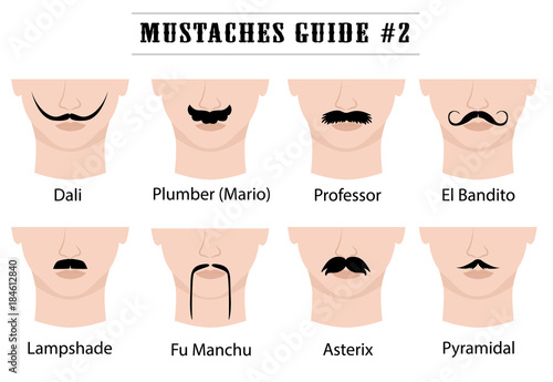 Set of mustaches on mans face. Isolated on white background. Vector illustration. Moustaches guide with names: Dali, Plumber ( Mario), Professor, El Bandito, Lampshade, Fu Manchu, Asterix, Pyramidal.