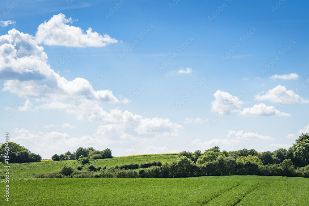 Green fields in rural environment in the spring Green fields in rural environment in the spring
