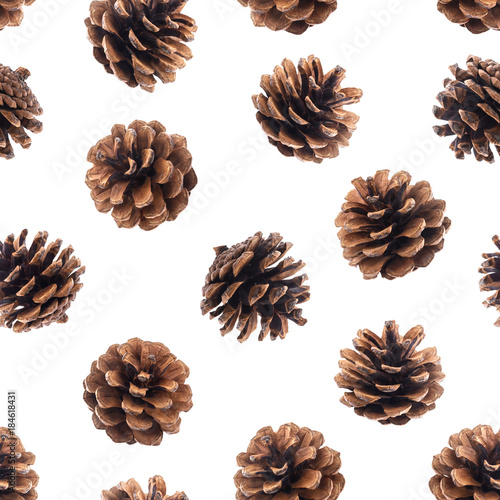 Pine cones seamless pattern