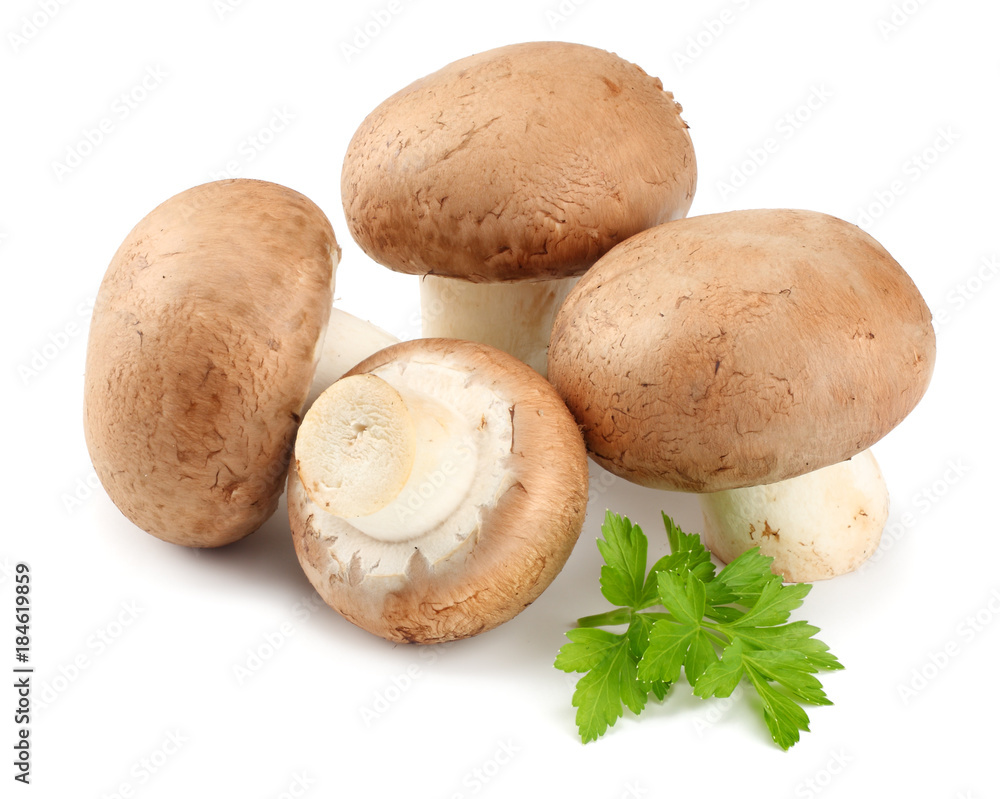 Fresh champignon mushrooms with parsley isolated on white background Fresh champignon mushrooms with parsley isolated on white background
