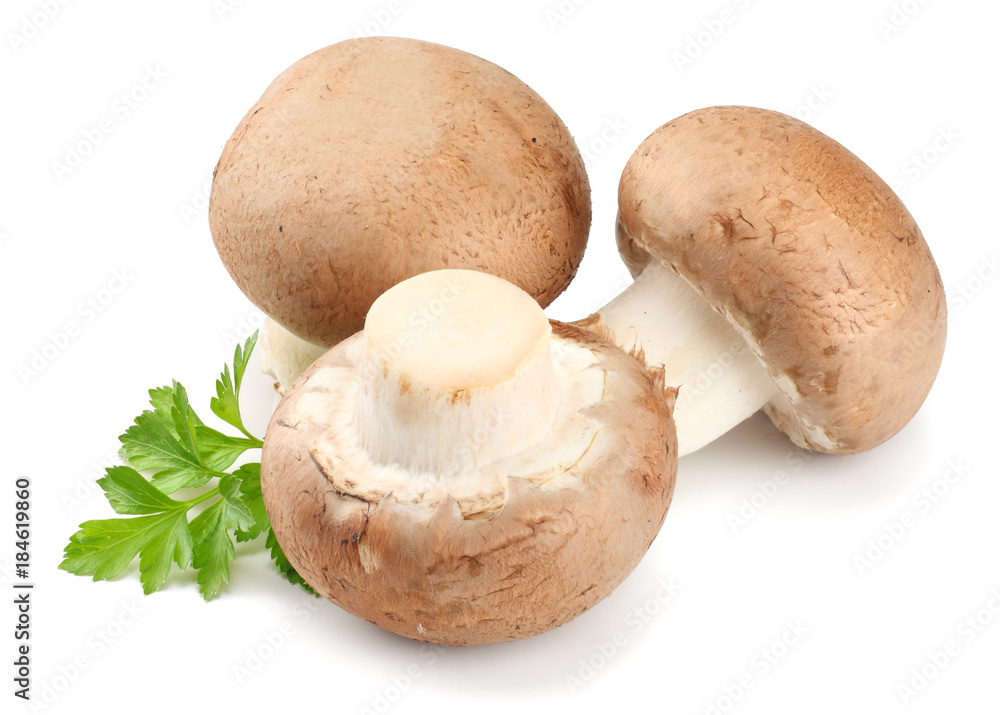 Fresh champignon mushrooms with parsley isolated on white background Fresh champignon mushrooms with parsley isolated on white background