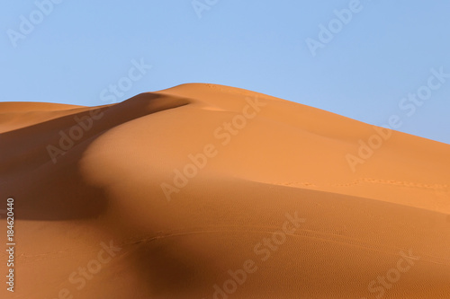 landscape of golden sand dune with blue sky in Sahara desert in Morocco
