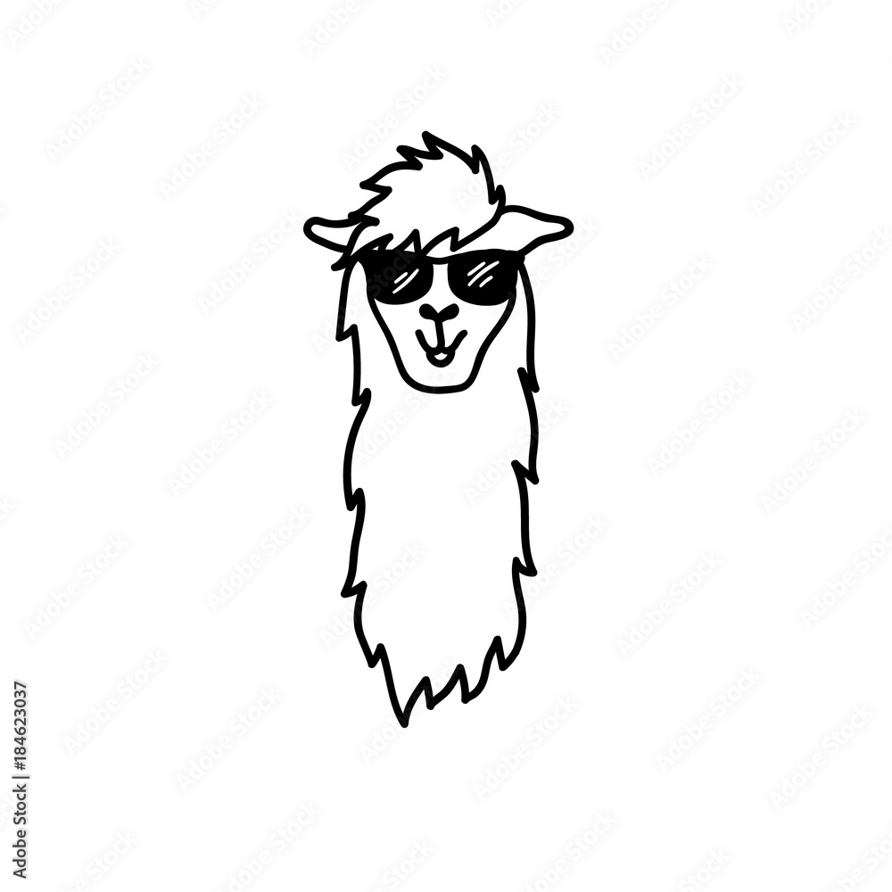 Vector illustration. Cute character lama Vector illustration. Cute character lama