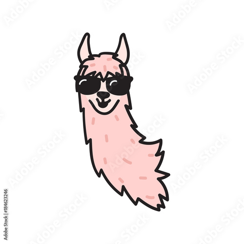 Vector illustration. Cute character lama